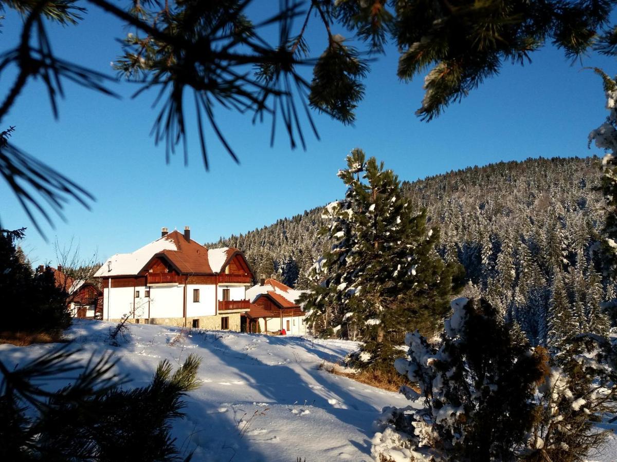 Apartmani Suncani Breg Tara Mitrovac Eksteriør bilde